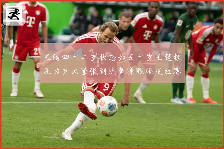 王皓四十二岁状态如五十岁王楚钦压力巨大紧张到流鼻涕眼眶泛红赛场解读-深度解析